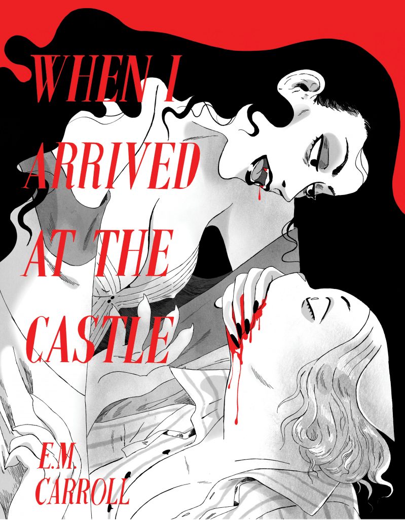 Cover of When I Arrived at the Castle by E.M. Carroll.
